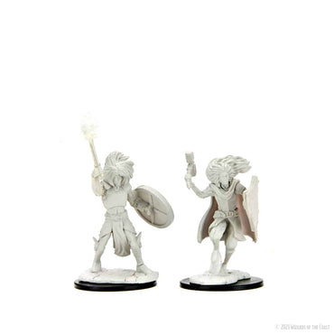 D&D Nolzur's Marvelous Miniatures: Changeling Cleric Wave 14 image 0