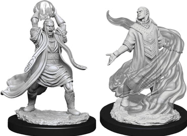 NMM Male Elf Sorcerer image 0