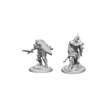 Nolzur's Marvelous Miniatures Human Paladin Wave 3 72629 image 0