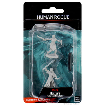 Nolzur's Marvelous Miniatures Rogue Human 73831 image 0