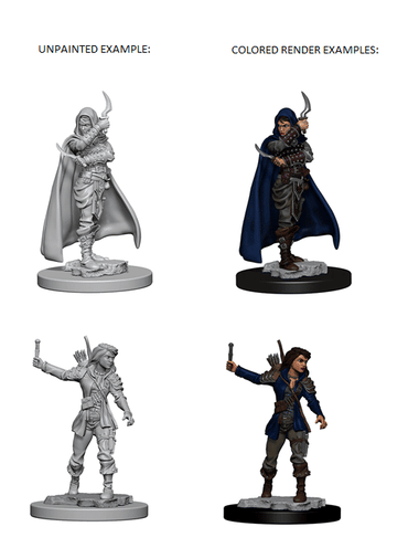 Pathfinder Deep Cuts Human Rogue 72603 image 0