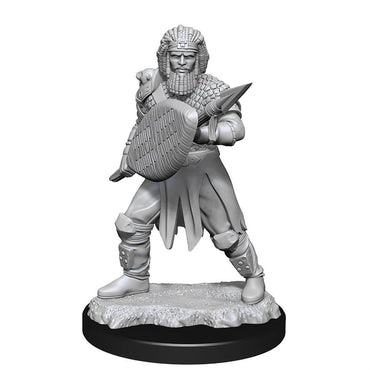 WK90144 Nolzur's Marvelous Miniatures Human Fighter Male Wave 13 image 1