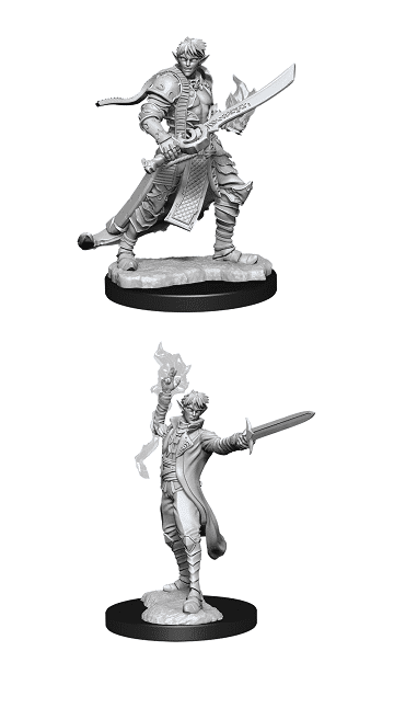 Pathfinder Unpainted Minis Wv11 Male Elf Magus image 0