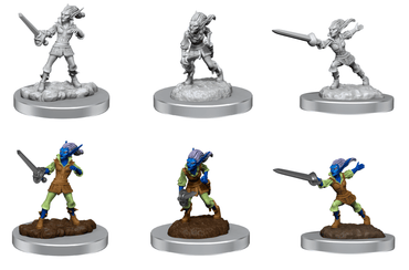 D&D Nolzur's Marvelous Miniatures: Quicklings Wave 19 image 0