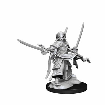 WK90142 Nolzur's Marvelous Miniatures Human Ranger Male Wave 13 image 1
