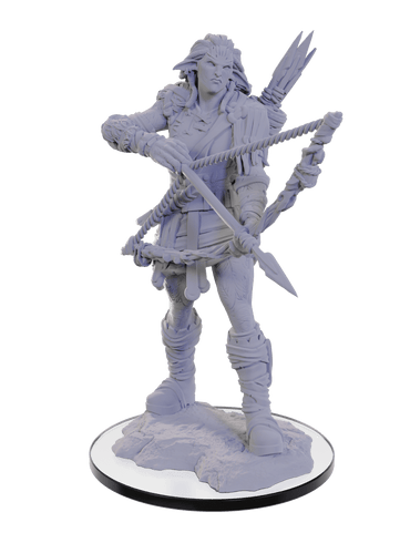 Pathfinder Deep Cuts Unpainted Miniatures: Wood Giant Wave 22 image 0