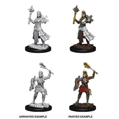 NMM Human Cleric 73671 image 0