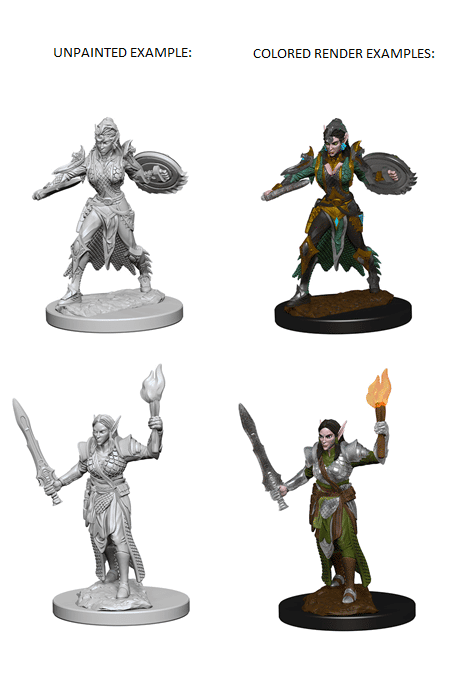 NMM Elf Fighter Female 72599 image 0