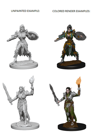 NMM Elf Fighter Female 72599 image 0