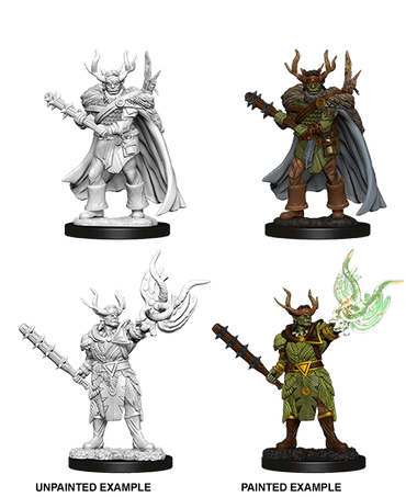 PFDC Male Half-Orc Druid 73853 image 0