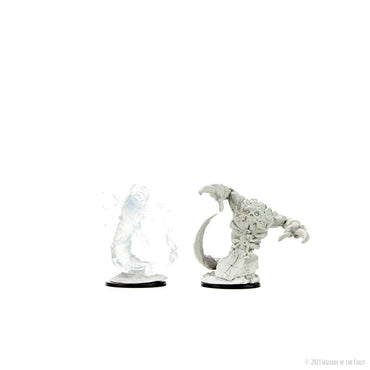 D&D Nolzur's Marvelous Miniatures: Tsucuora Quori & Hashalaw Quori 90240 image 0