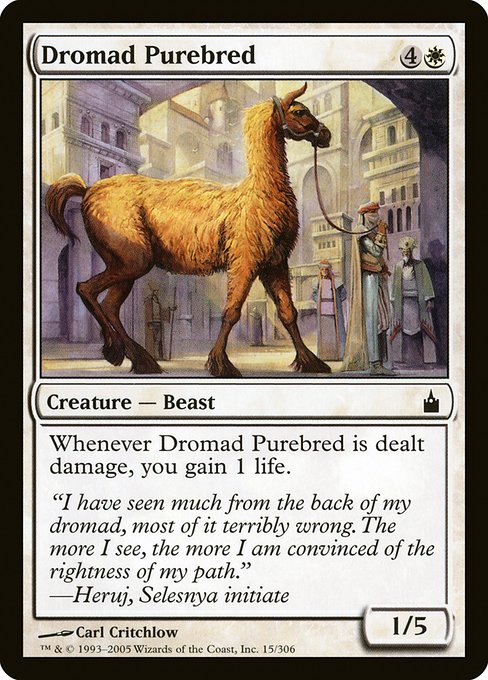 Dromad Purebred (15) [Ravnica: City of Guilds]