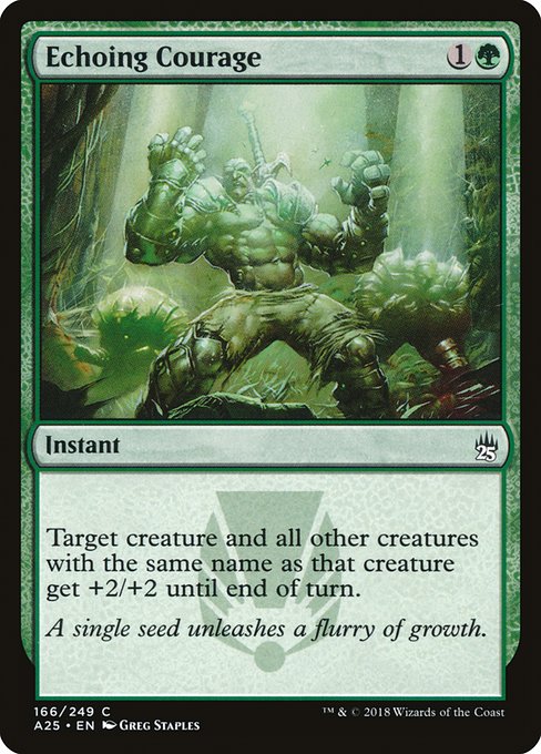 Echoing Courage (166) [Masters 25]