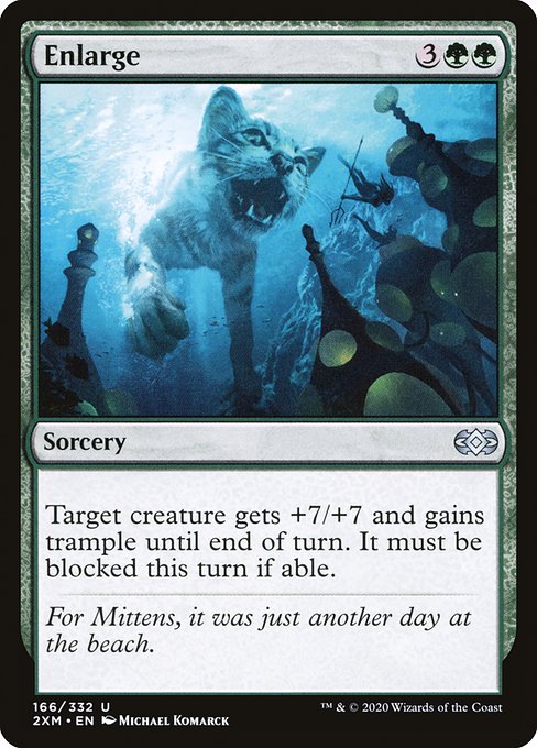 Enlarge (166) [Double Masters]