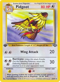 Pidgeot (24) (24/64) [Jungle]