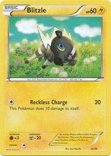 Blitzle (26) (26/30) [XY Trainer Kit Pikachu Libre and Suicune]