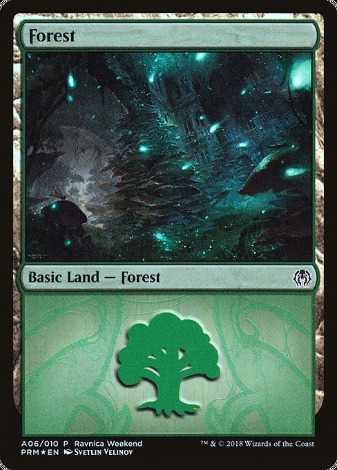 Forest (A06) [GRN Ravnica Weekend]