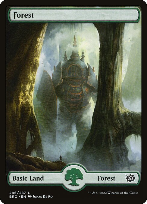 Forest (286) [The Brothers' War]