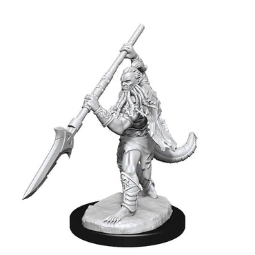 WK90154 Nolzur's Marvelous Miniatures Bearded Devils Wave 13 image 1