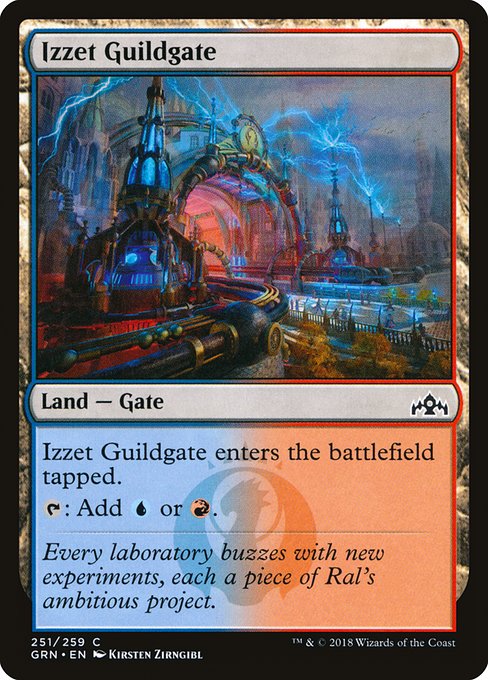 Izzet Guildgate (251) [Guilds of Ravnica]