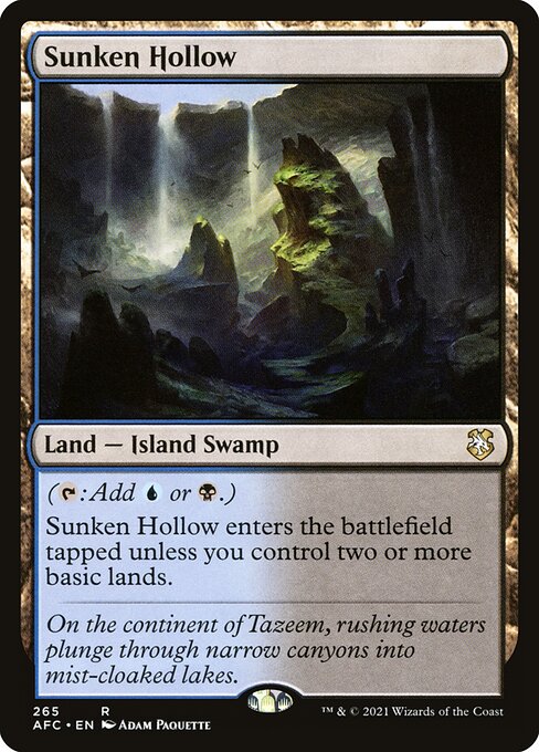 Sunken Hollow (265) [Forgotten Realms Commander]