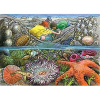 Exploring the Seashore 35PC Tray Puzzle image 0