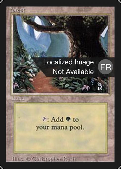 Forest (305) [Foreign Black Border]