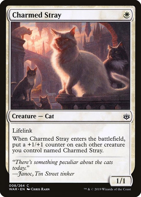 Charmed Stray (8) [War of the Spark]