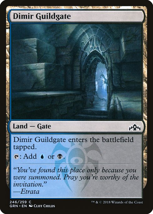 Dimir Guildgate (246) [Guilds of Ravnica]