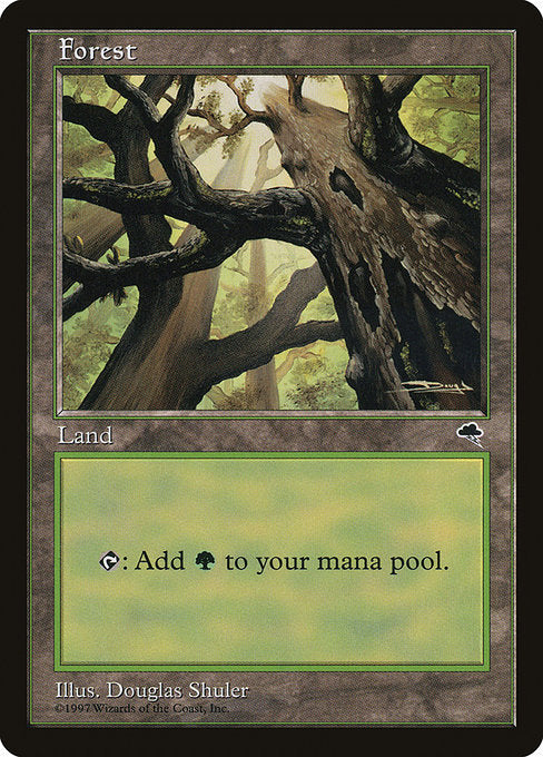 Forest (347) [Tempest]