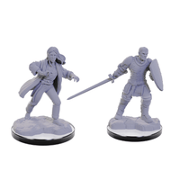 Nolzur's Marvelous Miniatures Reborn Paladin &amp; Warlock Wave 22 image 0