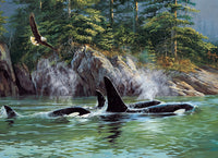 1000pc Orcas Puzzle image 1