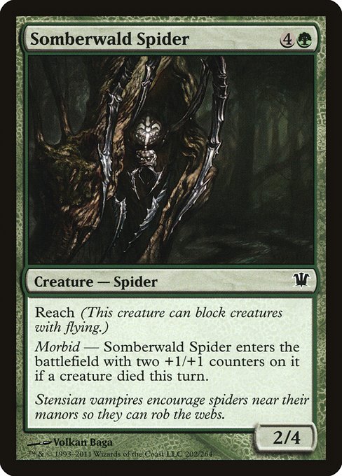 Somberwald Spider (202) [Innistrad]