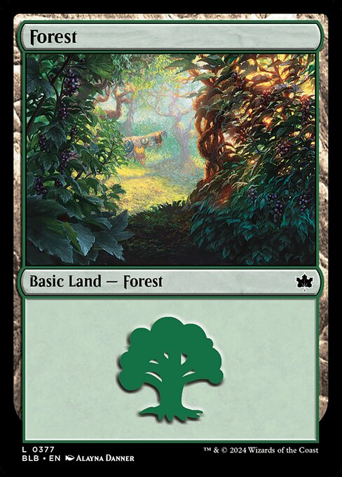 Forest (377) [Bloomburrow]