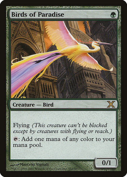 Birds of Paradise (252) [Tenth Edition]