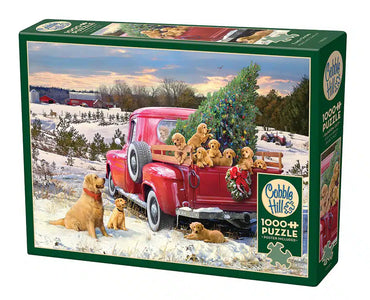 1000 Piece Family Outing Puzzle Cobble Hill image 0