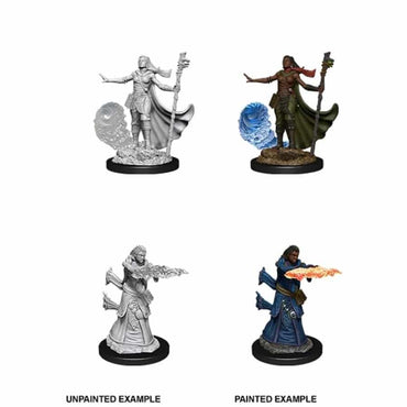 NMM Female Human Wizard image 0