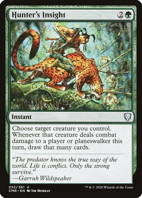 Hunter's Insight (232) [Commander Legends]