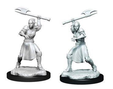 Critical Role Miniature: Half-Elf Echo Knight &amp; Echo W1 image 1