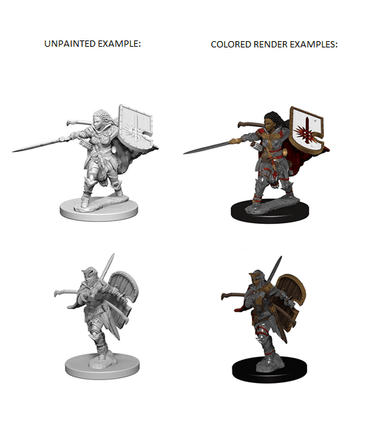 Pathfinder Battles Deep Cuts: Human Paladin Female image 0