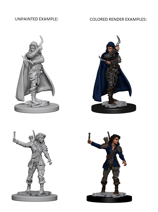 Pathfinder Deep Cuts Human Rogue 72603 image 0