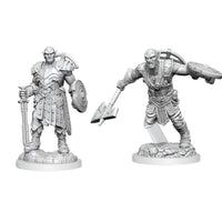 D&D Nolzur’s Marvelous Miniatures: Earth Genasi Fighter Wave 20 image 0