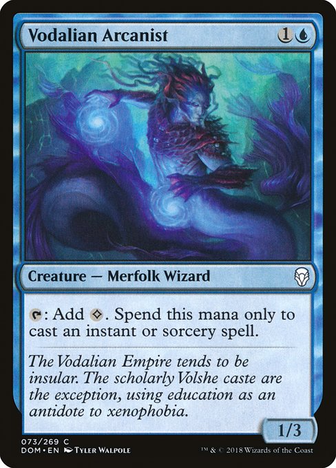 Vodalian Arcanist (73) [Dominaria]
