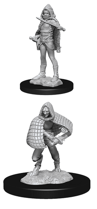 WK90156 Nolzur's Marvelous Miniatures Darkling Elder & Darklings Wave 13 image 0