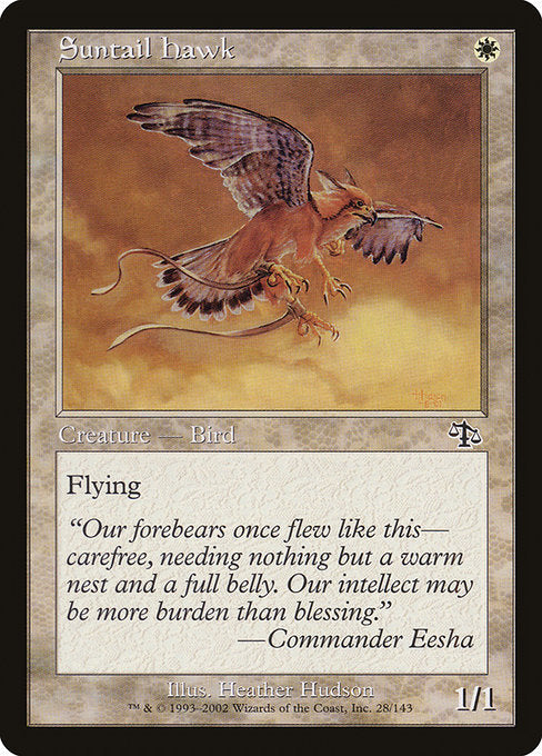 Suntail Hawk (28) [Judgment]