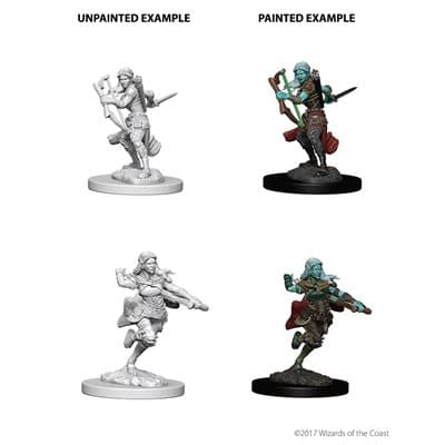 NMM Air Genasi Rogue Female 73204 image 0