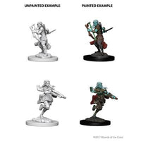 NMM Air Genasi Rogue Female 73204 image 0