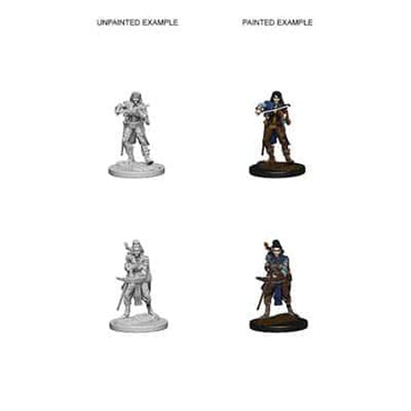 PathFinder Deep Cuts Elf Bard Female image 0