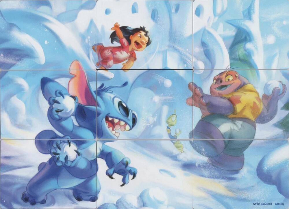 Winterspell Snowball Fight Puzzle Insert (Set of 9) [Winterspell]