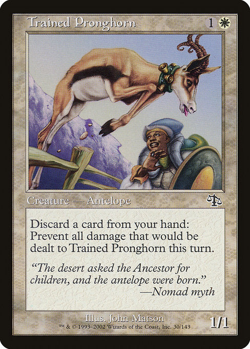 Trained Pronghorn (30) [Judgment]